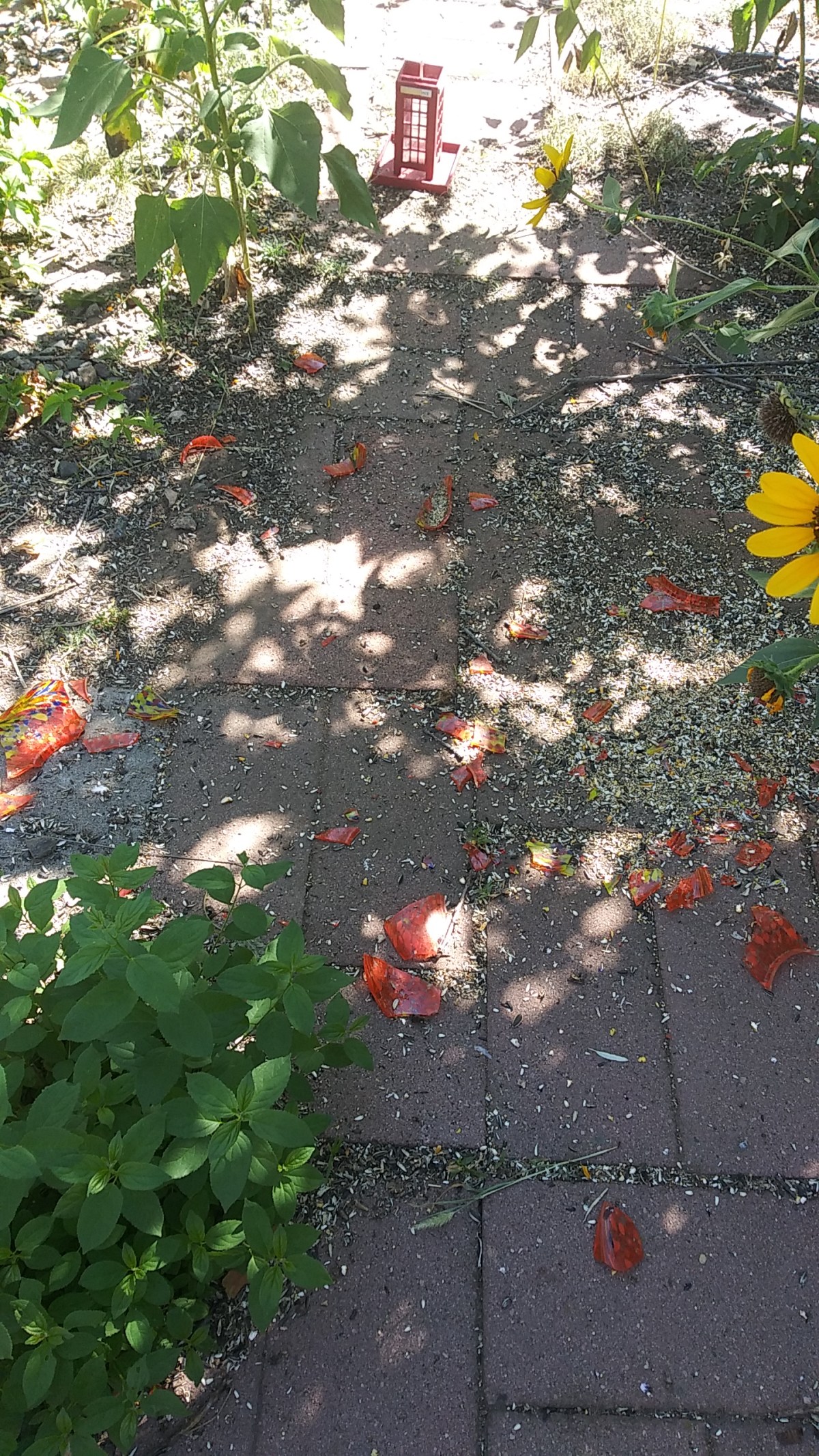 Trash Pandas of the&nbsp;Night