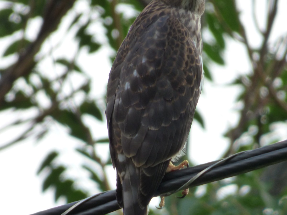 Life is Messy&nbsp;Too