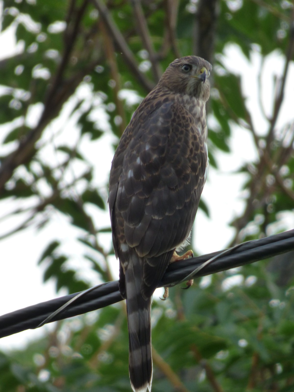 Life is Messy&nbsp;Too